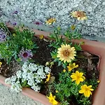3house Sol Na Eira Em Paredes Vakantiehuis *
