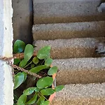 بيت للعطل 3house Sol Na Eira Em Paredes *