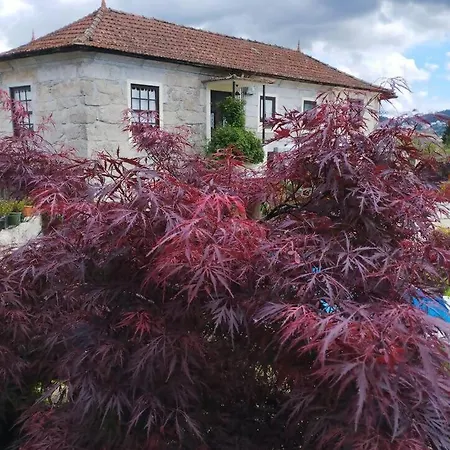 3house Sol Na Eira Em Paredes Rebordosa