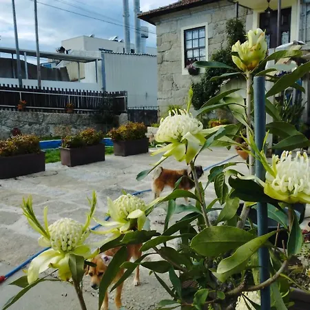 Semesterbostad 3house Sol Na Eira Em Paredes *