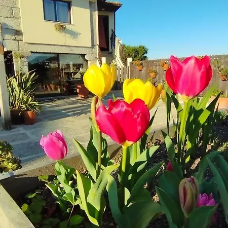 3house Sol Na Eira Em Paredes Prázdninový dům Rebordosa