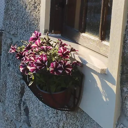 3house Sol Na Eira Em Paredes Prázdninový dům *