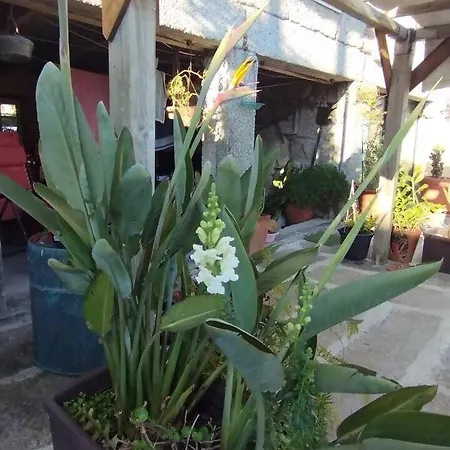 3house Sol Na Eira Em Paredes * Rebordosa