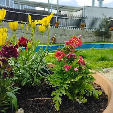 3house Sol Na Eira Em Paredes Rebordosa