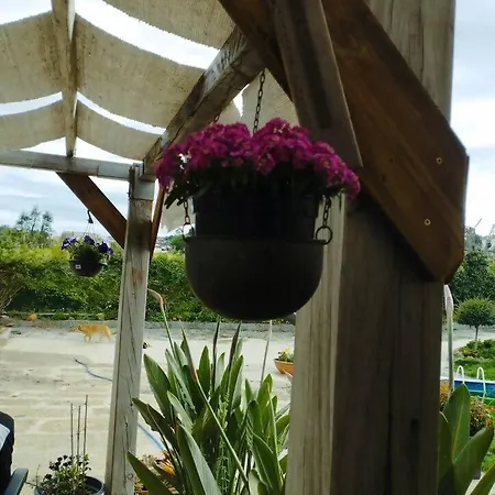 3house Sol Na Eira Em Paredes Semesterbostad