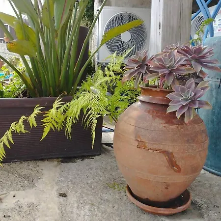 3house Sol Na Eira Em Paredes *