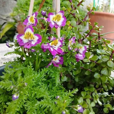 3house Sol Na Eira Em Paredes * Rebordosa