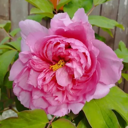 3house Sol Na Eira Em Paredes