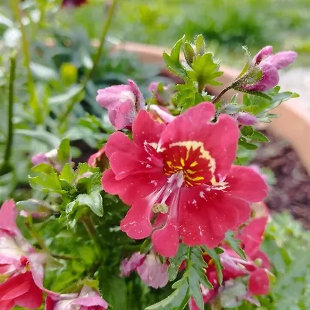 3house Sol Na Eira Em Paredes Prázdninový dům