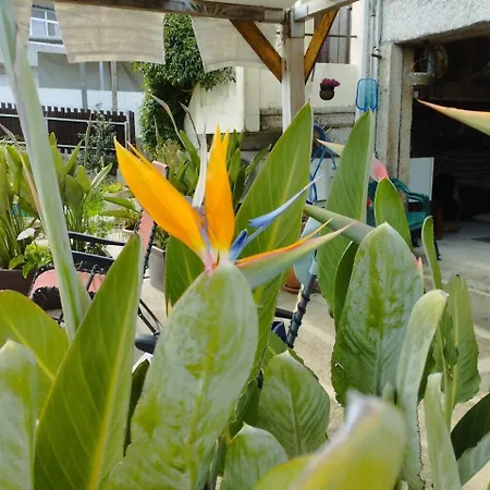 Prázdninový dům 3house Sol Na Eira Em Paredes *