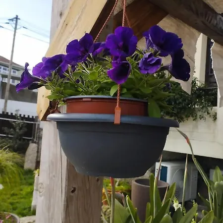 3house Sol Na Eira Em Paredes Prázdninový dům