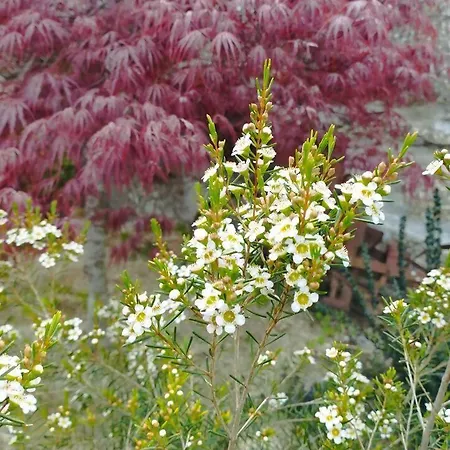 3house Sol Na Eira Em Paredes *