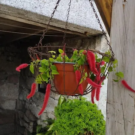 3house Sol Na Eira Em Paredes Prázdninový dům *