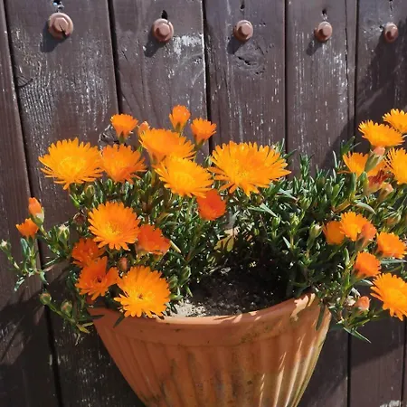 3house Sol Na Eira Em Paredes Prázdninový dům *