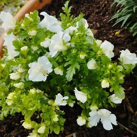 3house Sol Na Eira Em Paredes