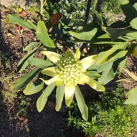 3house Sol Na Eira Em Paredes Semesterbostad