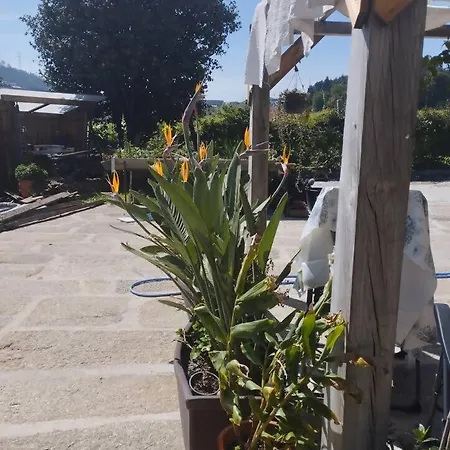 3house Sol Na Eira Em Paredes