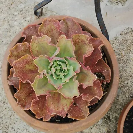 Semesterbostad 3house Sol Na Eira Em Paredes Rebordosa