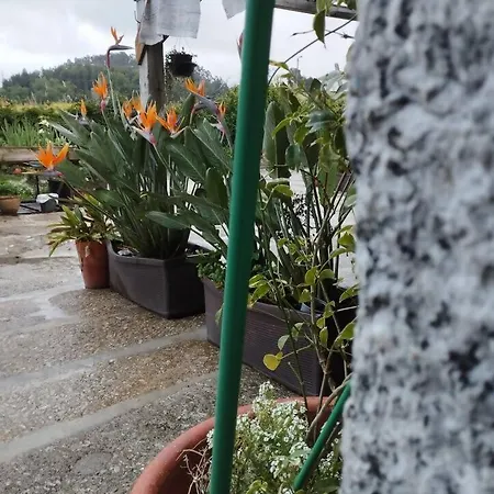 3house Sol Na Eira Em Paredes