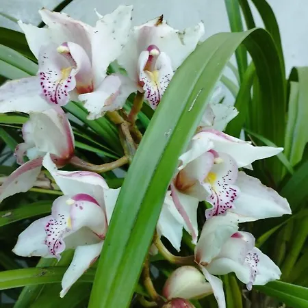 3house Sol Na Eira Em Paredes *