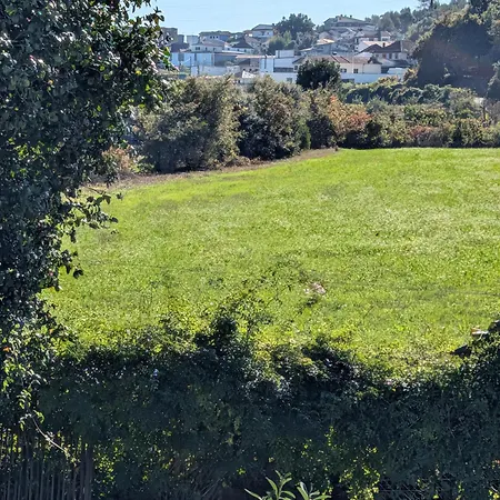 Semesterbostad 3house Sol Na Eira Em Paredes *