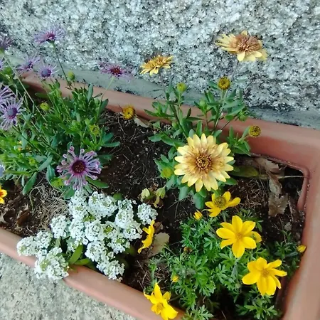 3house Sol Na Eira Em Paredes Prázdninový dům *