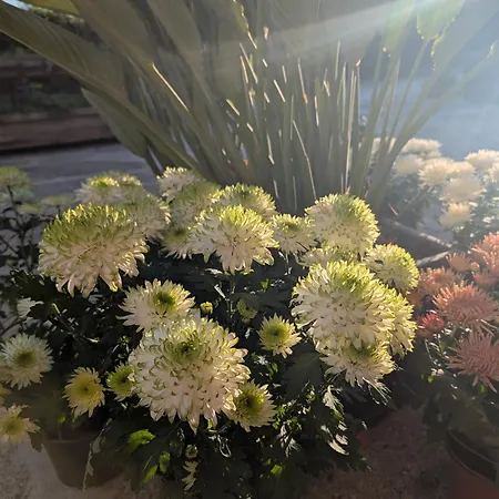 Prázdninový dům 3house Sol Na Eira Em Paredes Rebordosa