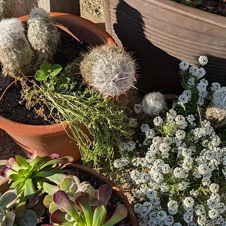 3house Sol Na Eira Em Paredes *