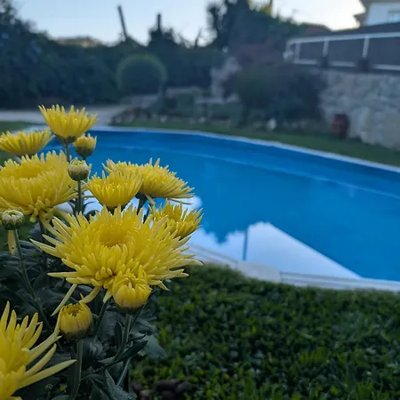 3house Sol Na Eira Em Paredes *