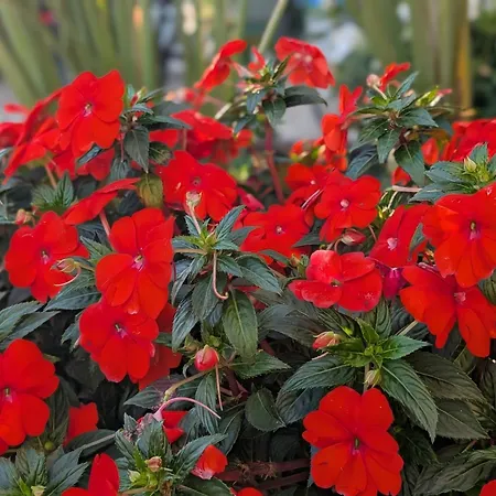 Semesterbostad 3house Sol Na Eira Em Paredes Rebordosa