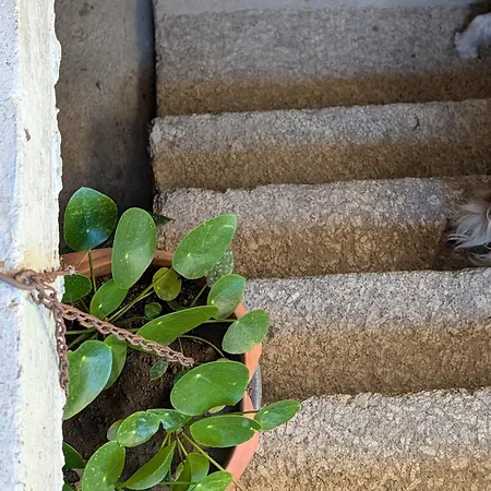 Prázdninový dům 3house Sol Na Eira Em Paredes *