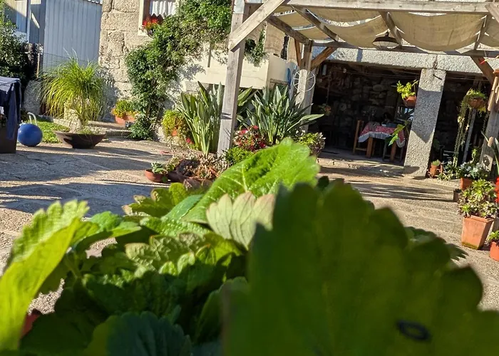 3house Sol Na Eira Em Paredes 度假居 *