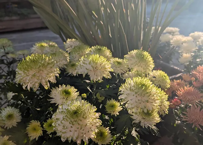 3house Sol Na Eira Em Paredes 度假居 Rebordosa