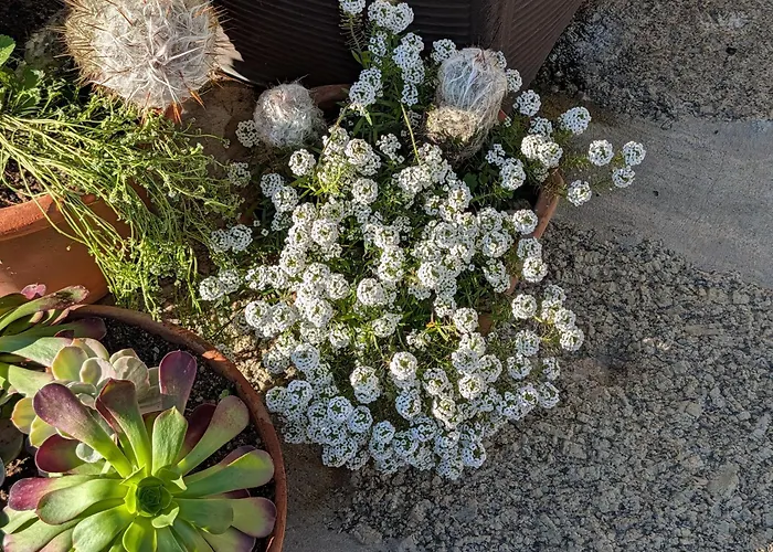 3house Sol Na Eira Em Paredes 度假居