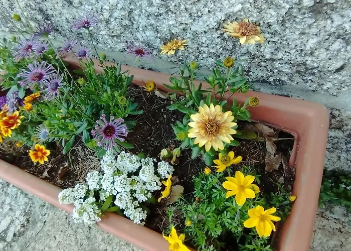 3house Sol Na Eira Em Paredes بيت للعطل *