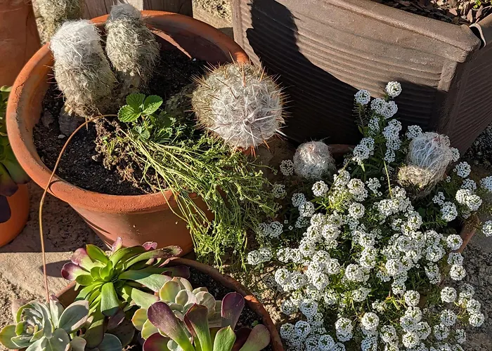 3house Sol Na Eira Em Paredes *