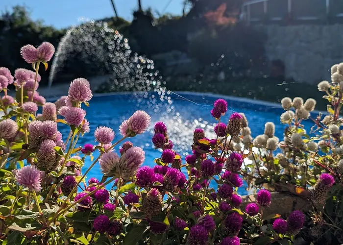 3house Sol Na Eira Em Paredes 度假居 *