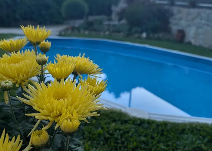 3house Sol Na Eira Em Paredes *