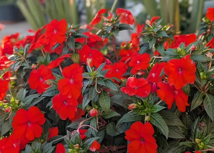 بيت للعطل 3house Sol Na Eira Em Paredes Rebordosa