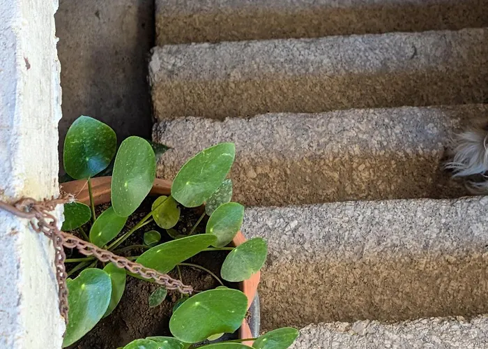 بيت للعطل 3house Sol Na Eira Em Paredes *